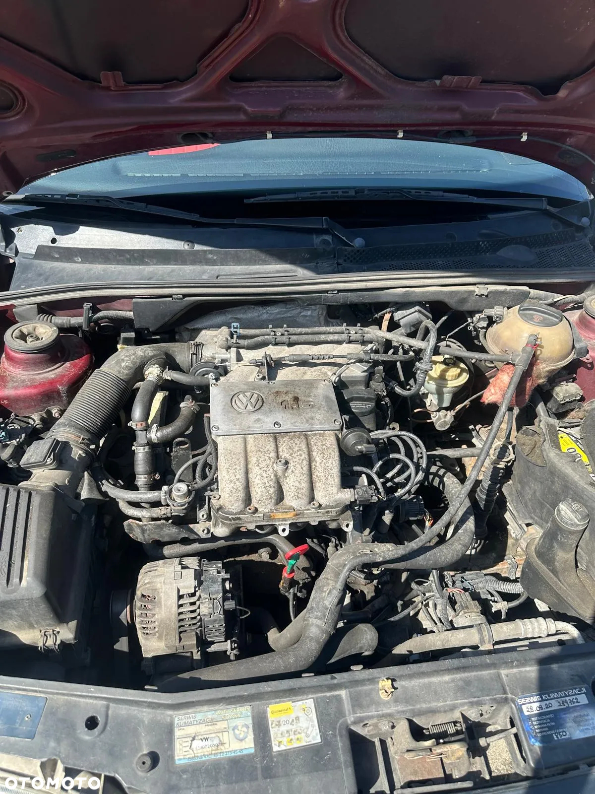 Volkswagen Golf - 12