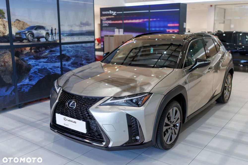 Lexus UX 300h F Sport Design AWD - 14