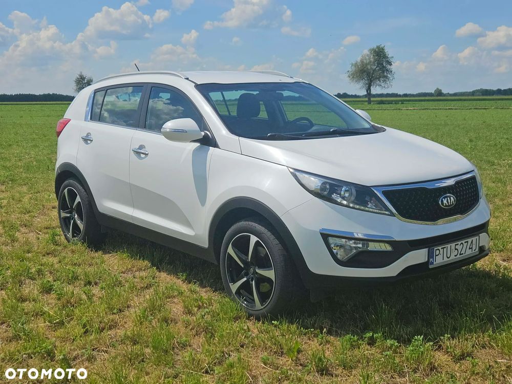 Kia Sportage - 19