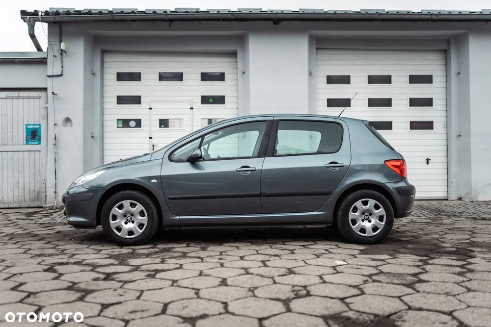 Peugeot 307 - 10