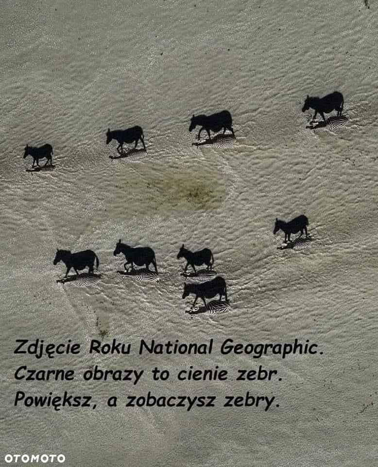 BMW Seria 1 120d M Sport - 8