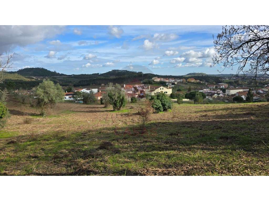 Terreno com viabilidade de construção em Cercal, Cadaval - Grande imagem: 2/19