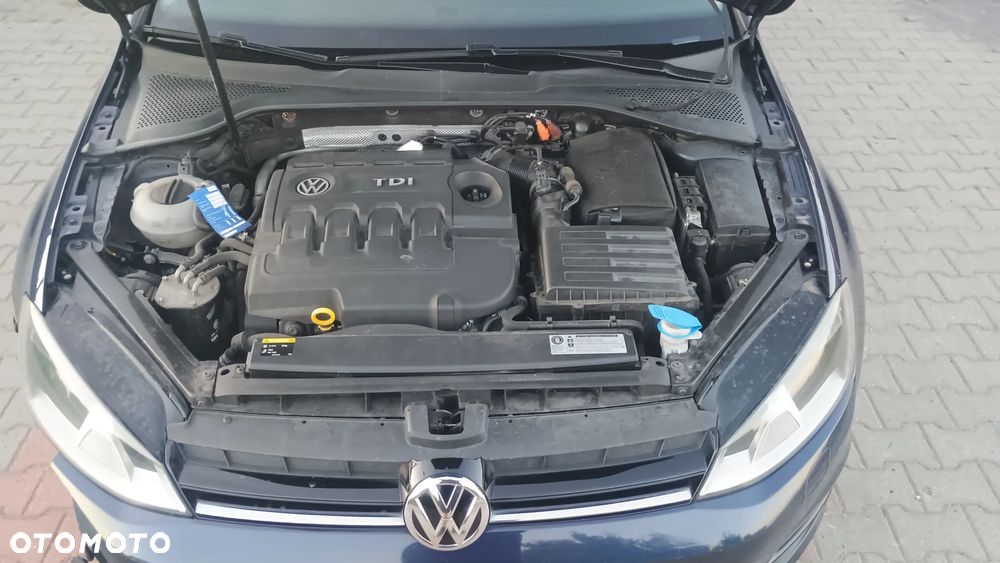 Volkswagen Golf 1.6 TDI BMT Trendline - 19