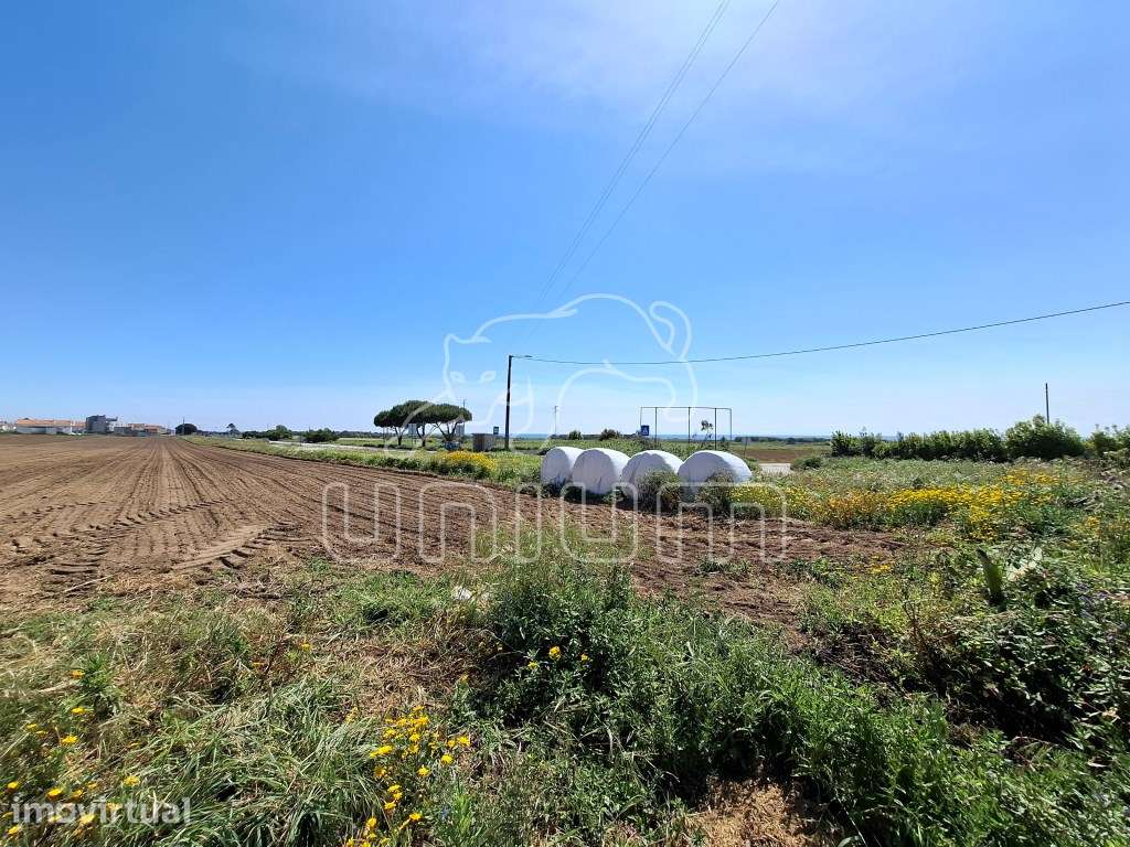 Terreno para construção em Carreço - Grande imagem: 2/3