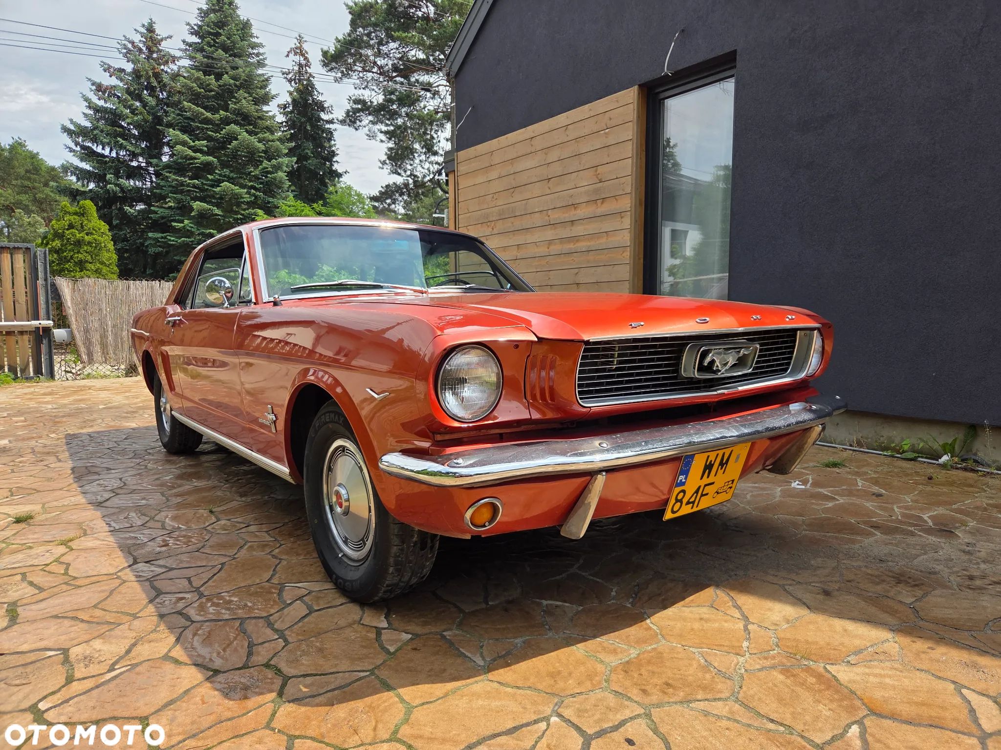 Ford Mustang - 1