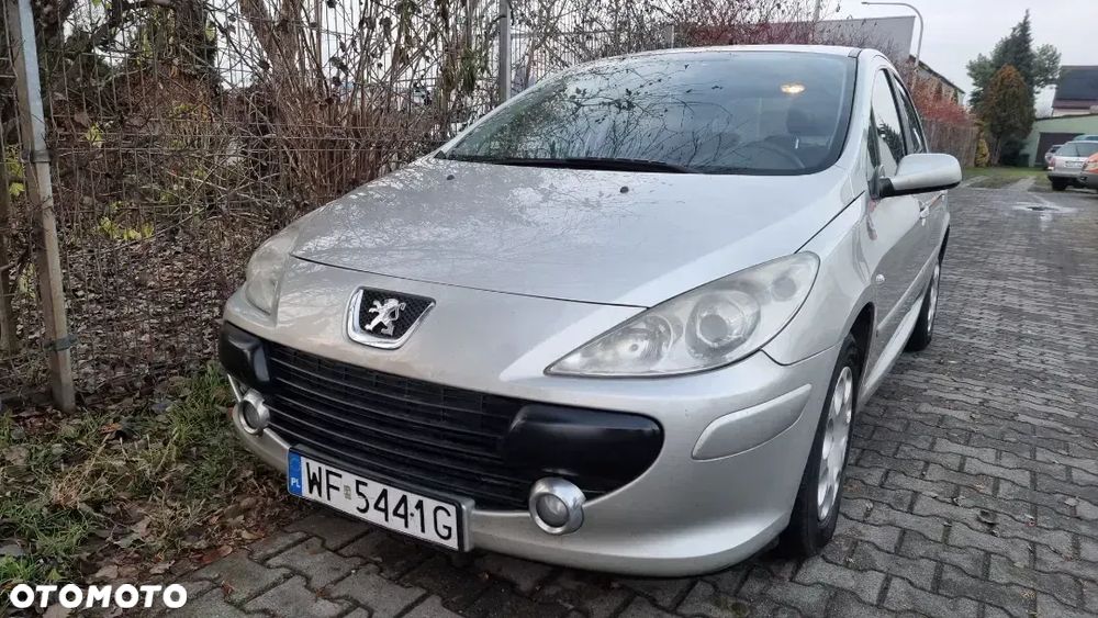 Peugeot 307 1.4 Presence - 10