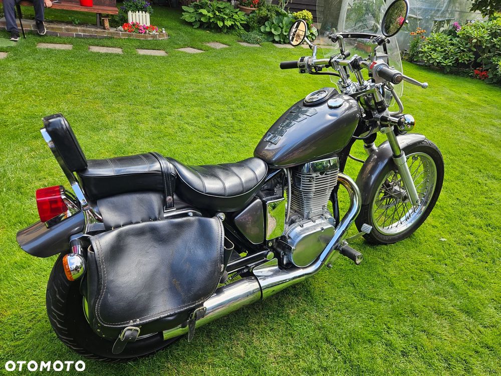 Suzuki Savage - 5