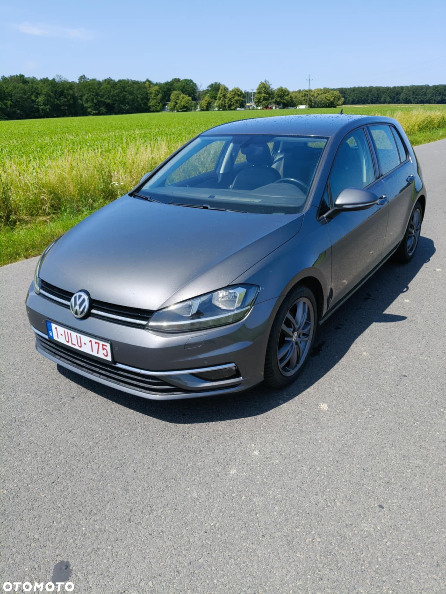 Volkswagen Golf VII 1.6 TDI BMT Comfortline - 2