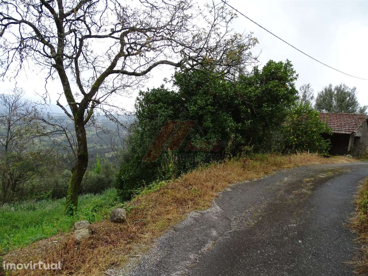 Moradia para Restaurar T2 Venda em Ribas,Celorico de Basto - Grande imagem: 3/16