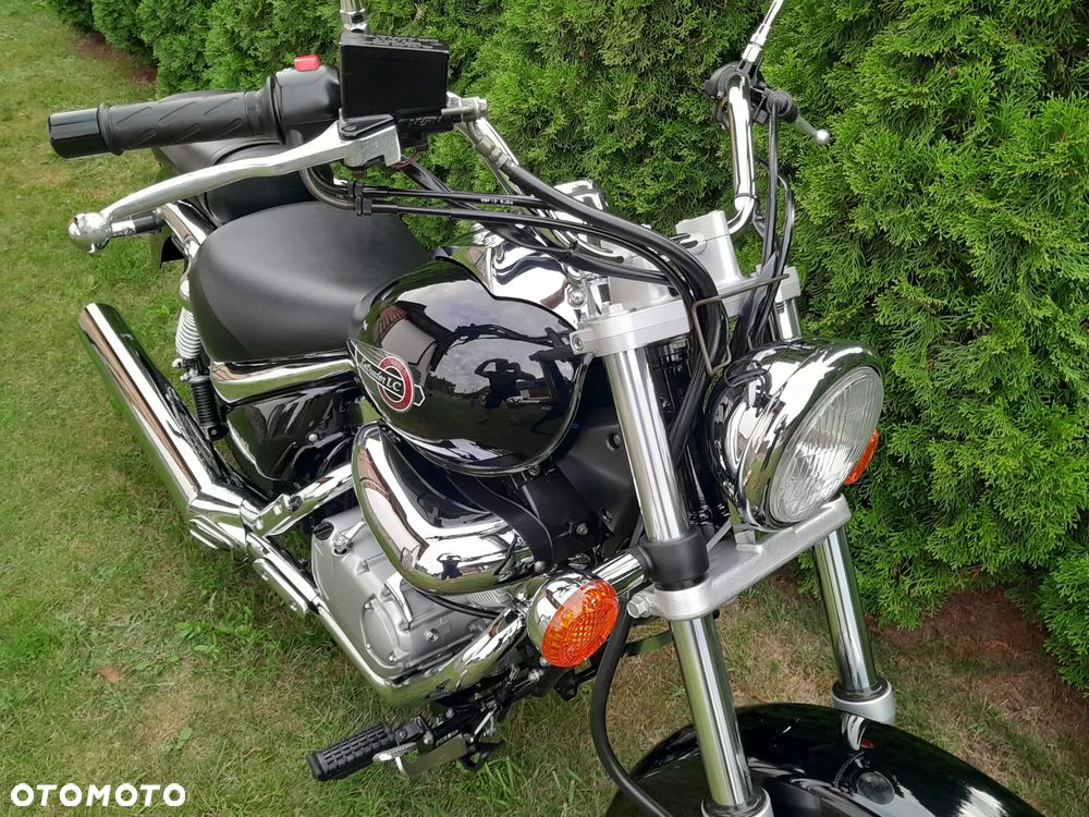 Suzuki Intruder - 12