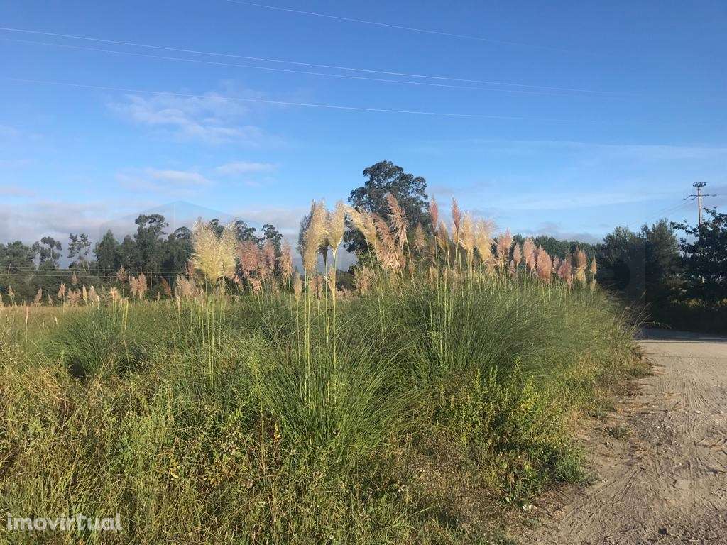 Terreno para construção - Estarreja - Grande imagem: 2/8