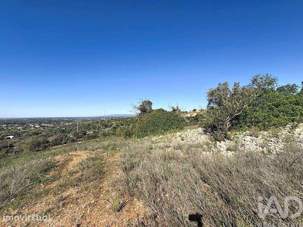 Terreno Agrícola em Algoz e Tunes - Grande imagem: 2/12