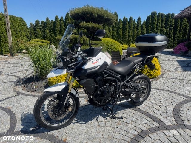 Triumph Tiger - 2