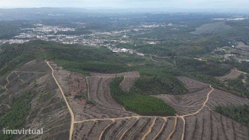 Oportunidade! Terreno Legalizado com Potencial de Construção – Arganil - Grande imagem: 3/6