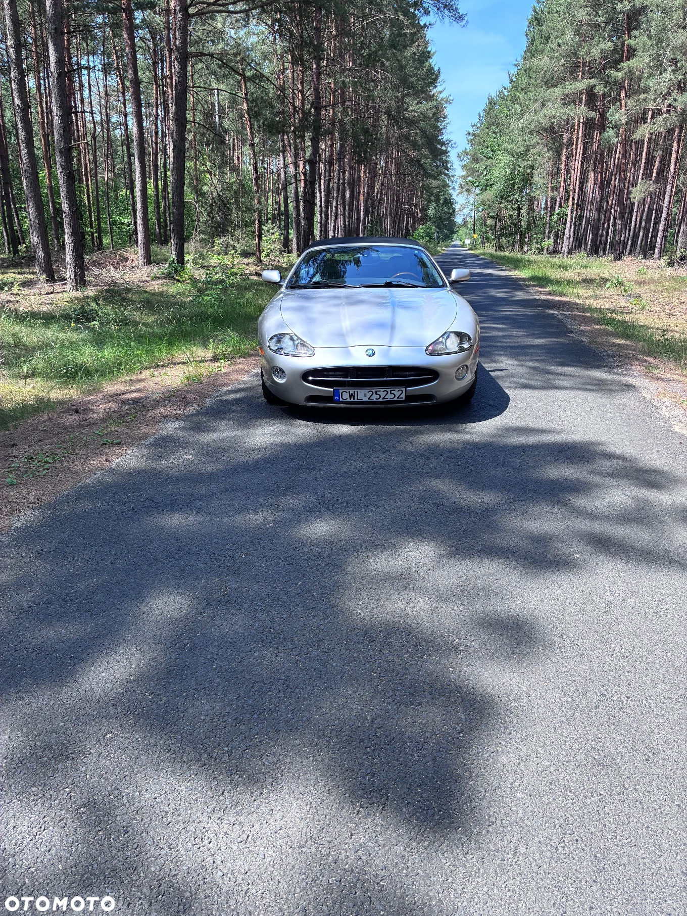 Jaguar XK8 Cabriolet - 8