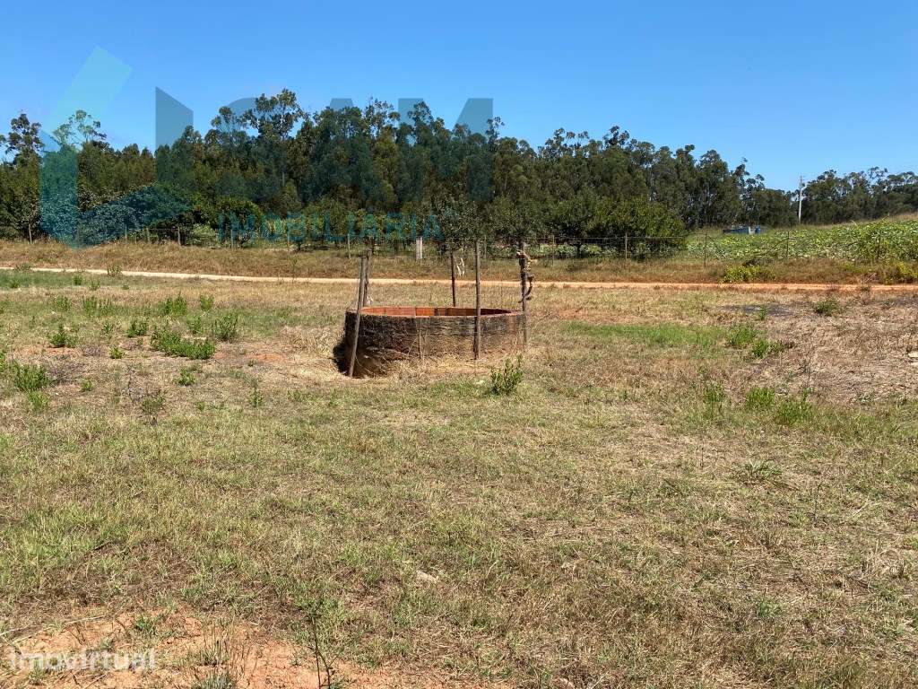 Refúgio no Campo: Casa Antiga com Terreno Plano e Eucaliptos - Grande imagem: 4/8