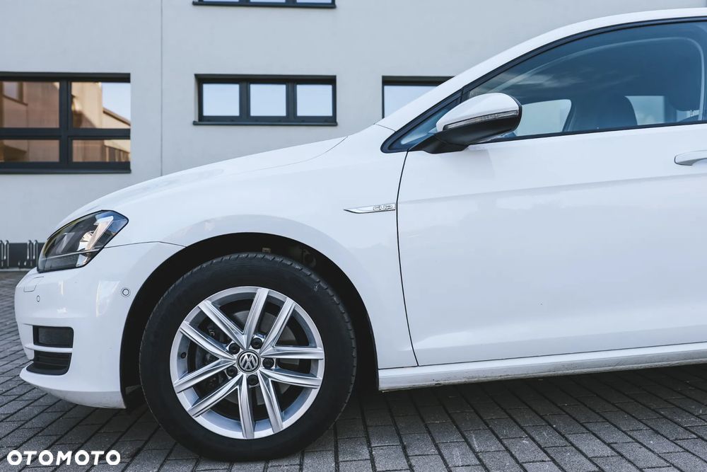 Volkswagen Golf - 30