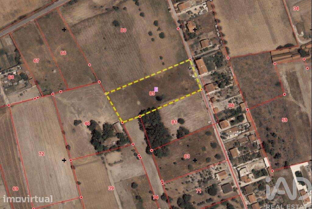 Terreno Agrícola em Montijo e Afonsoeiro - Grande imagem: 2/7