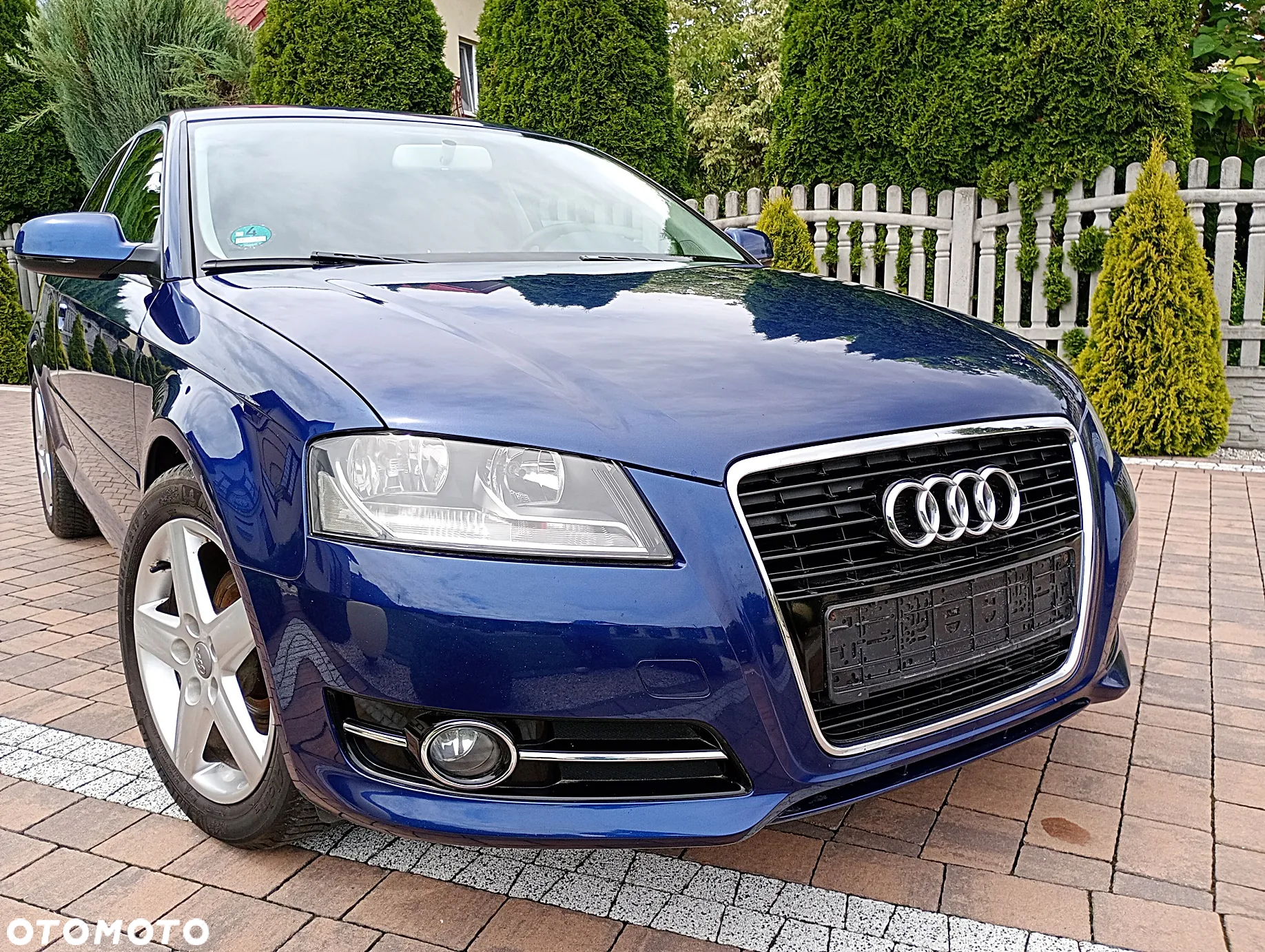 Audi A3 1.6 TDI Ambiente - 15