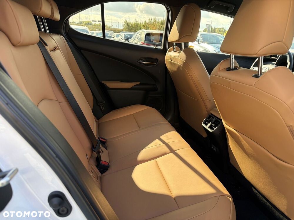Lexus UX 300h F Sport Design - 21