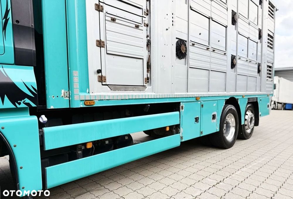 MAN TGX 26.640 D38 6x2 | 3 POZIOMY | TRANSPORT ZWIERZĄT | 640 KM | RETARDER | 2019 - 12
