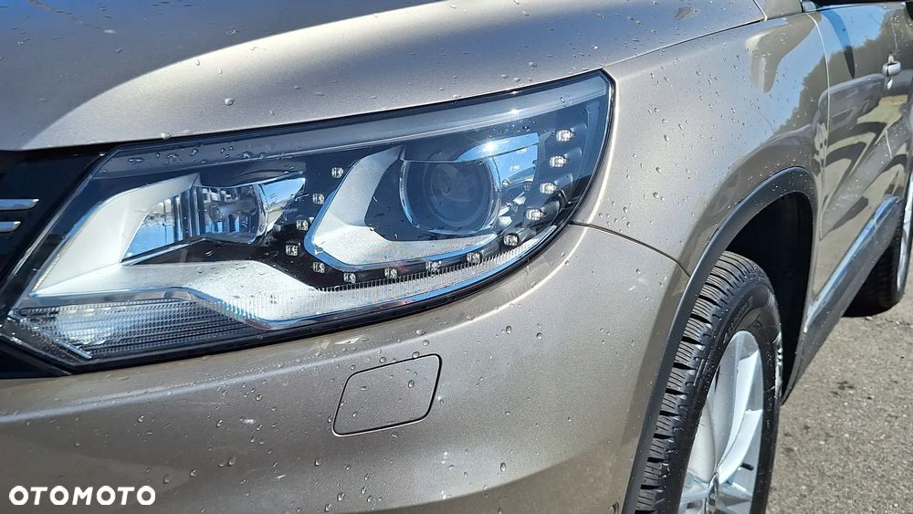 Volkswagen Tiguan - 10