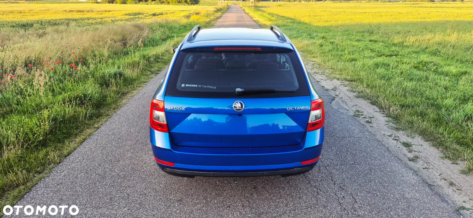Skoda Octavia 1.6 TDI Active EU6 - 5
