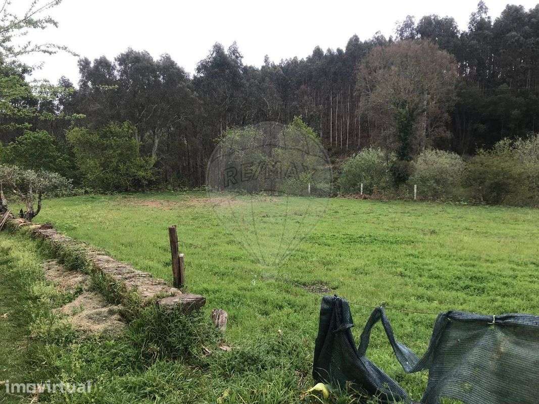 Terreno  para venda