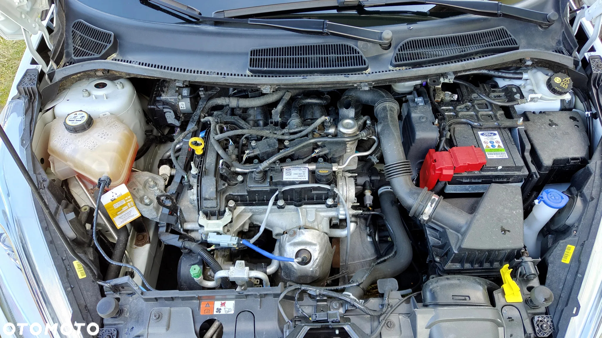 Ford Fiesta 1.0 Start-Stop Champions Edition - 25