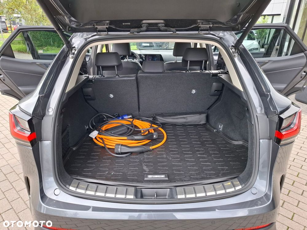Lexus NX - 27