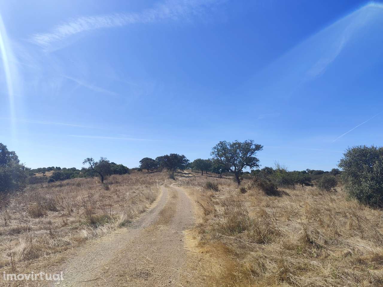 Terreno , Vale de cadeirinhas, Serpa - Grande imagem: 4/11