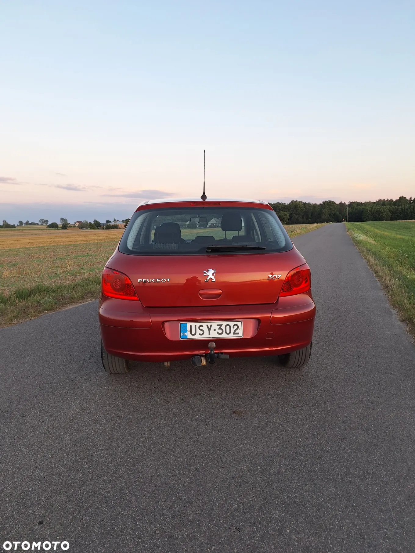 Peugeot 307 110 Premium - 5