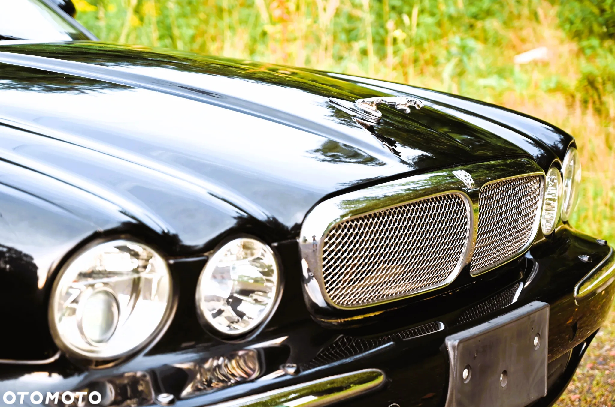 Jaguar XJ XJ8 4.2 Executive - 36
