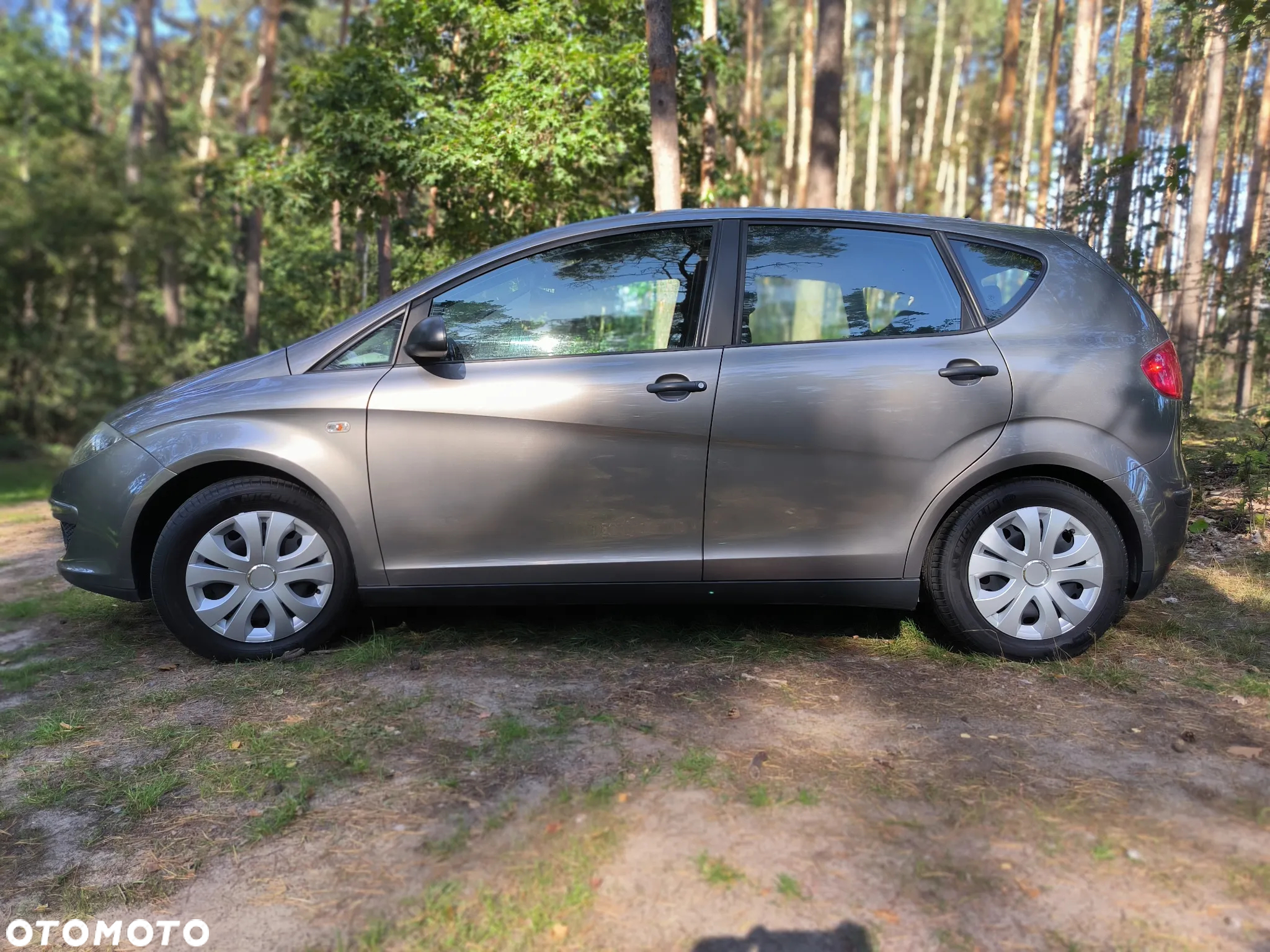 Seat Altea - 6