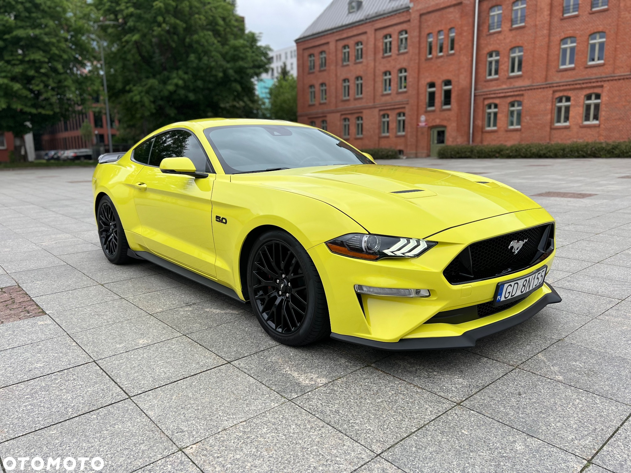 Ford Mustang 5.0 V8 Mach 1 - 2