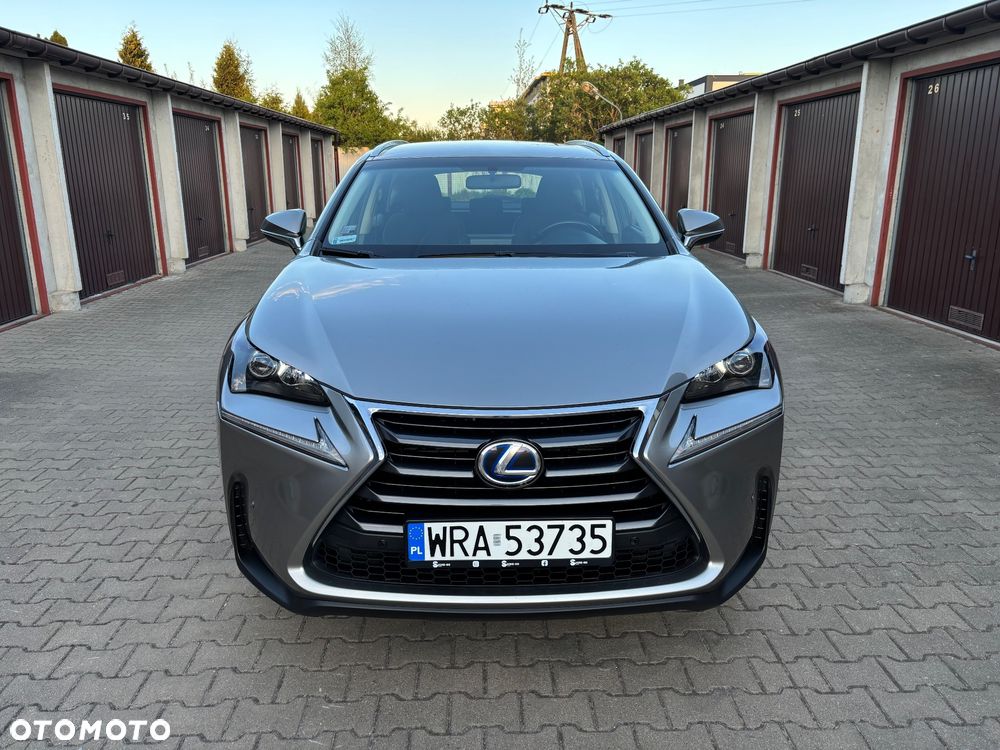 Lexus NX - 14