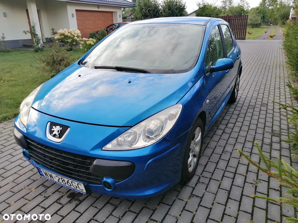 Peugeot 307 1.6 Premium - 11