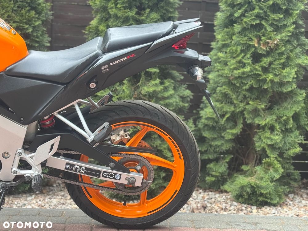 Honda CBR - 19