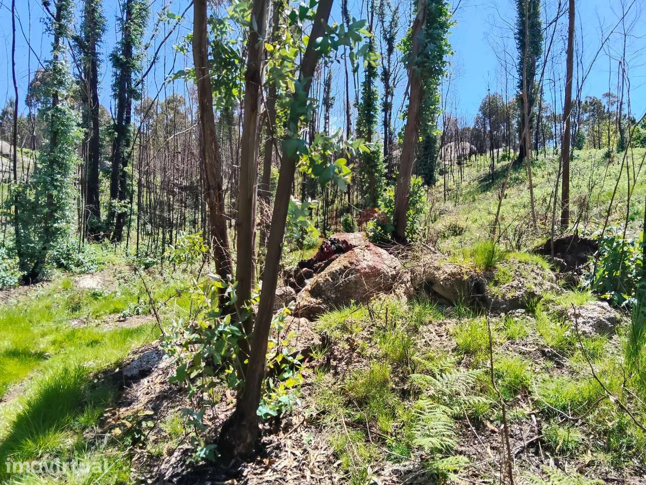 Terreno Rústico com 19.105,96 m² em Seidões, Fafe - Grande imagem: 2/6