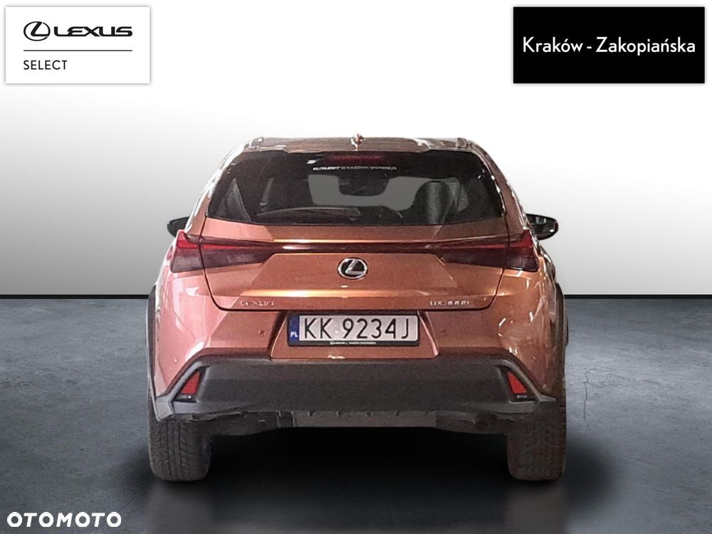 Lexus UX 300h Business - 5