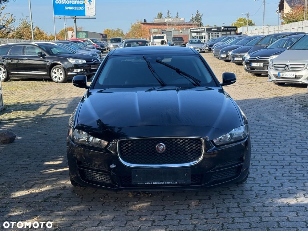 Jaguar Xe 2017 photo 2