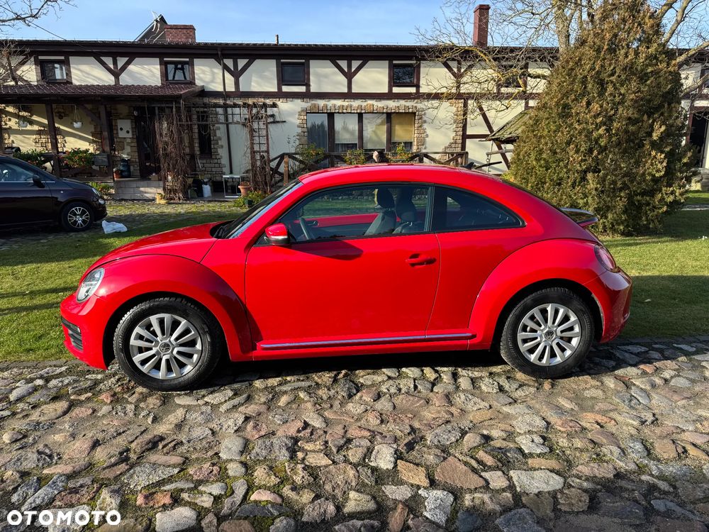 Volkswagen Beetle - 5
