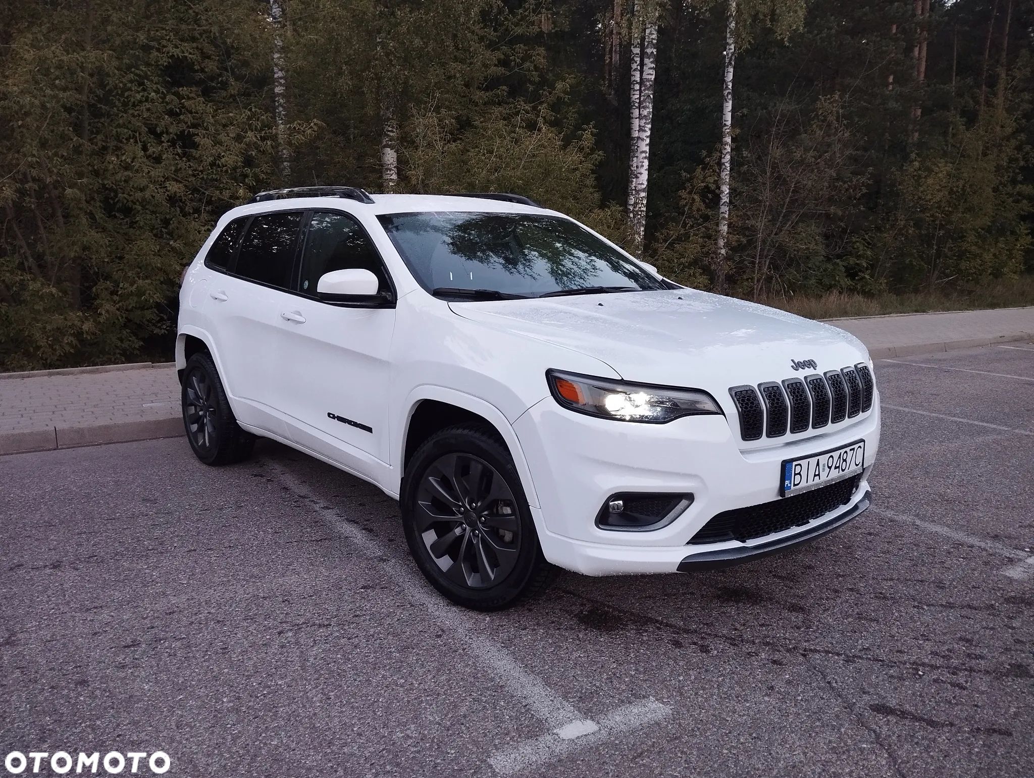 Jeep Cherokee 2.0 GME Active Drive I Limited - 1