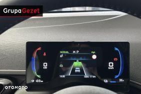 BYD Dolphin Surf - 16