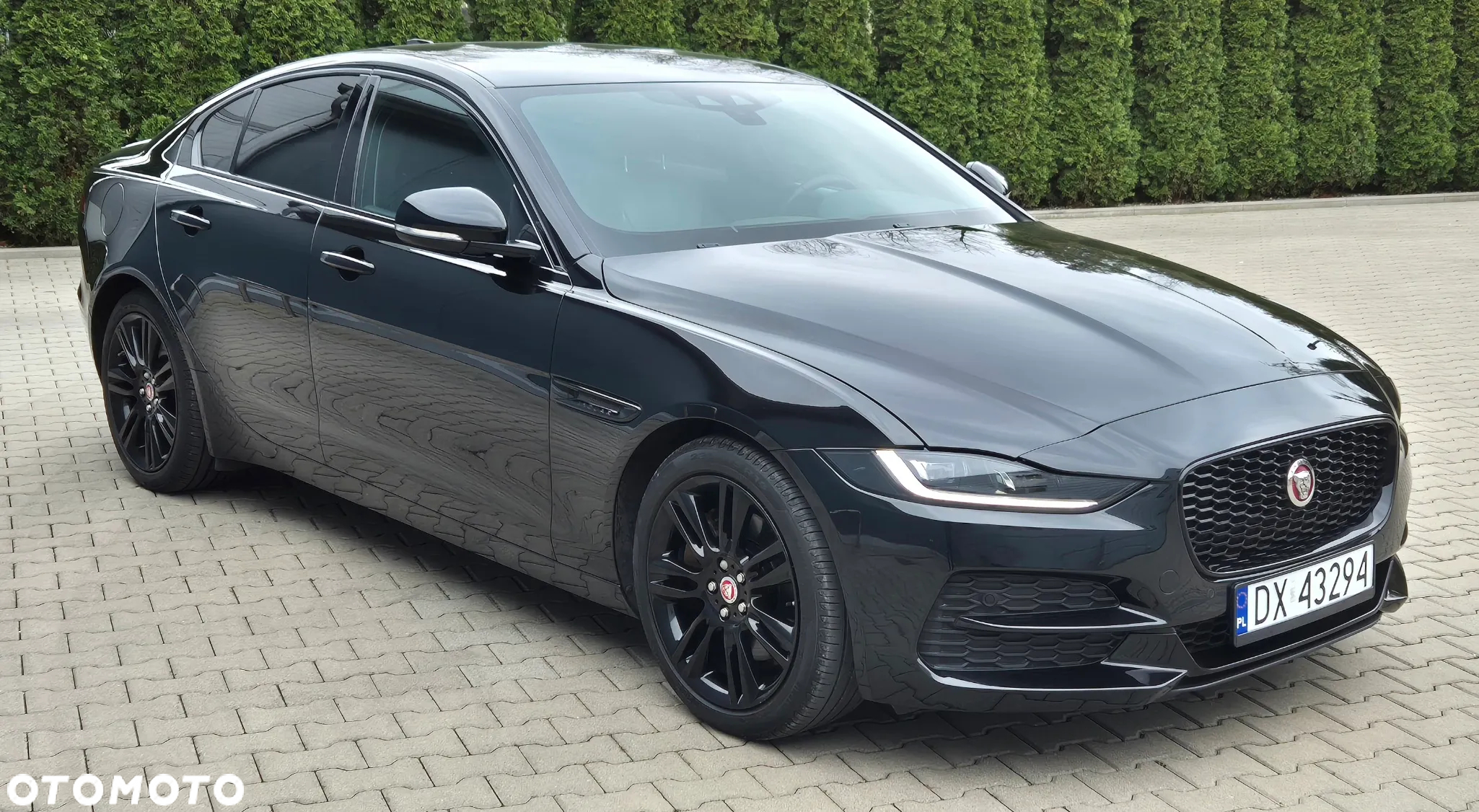 Jaguar XE - 16