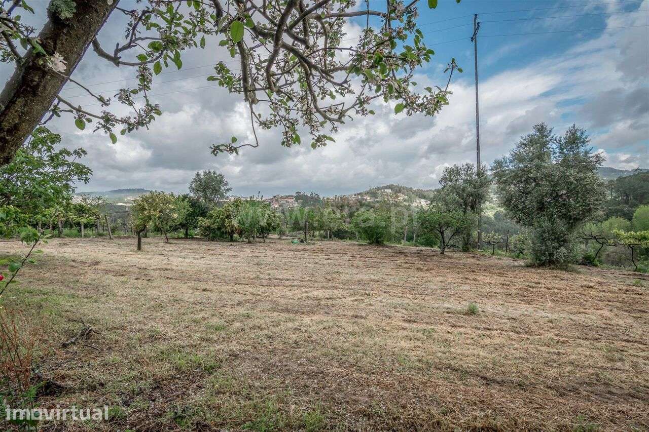 Terreno / Cinfães, Souselo - Grande imagem: 5/8
