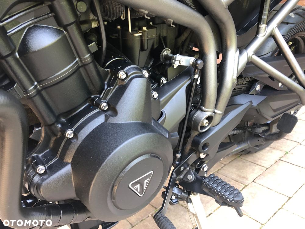 Triumph Tiger - 21