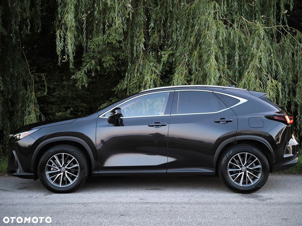 Lexus NX - 5