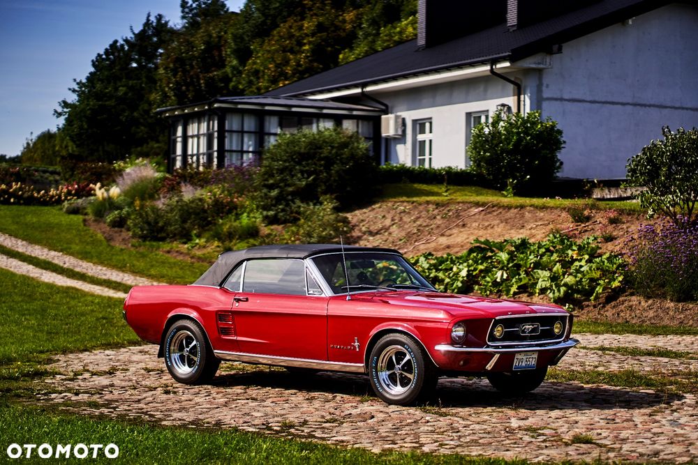 Ford Mustang - 1