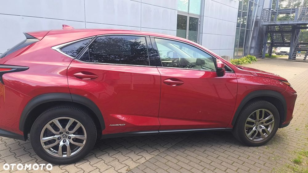 Lexus NX - 16